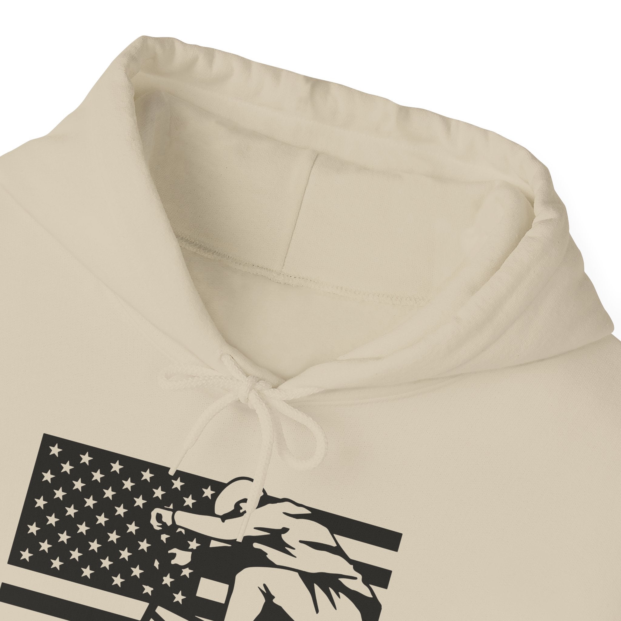 Rad-Biker American Flag Hoodie — 'Is My Bike Okay?' Graphic Hooded Sweatshirt