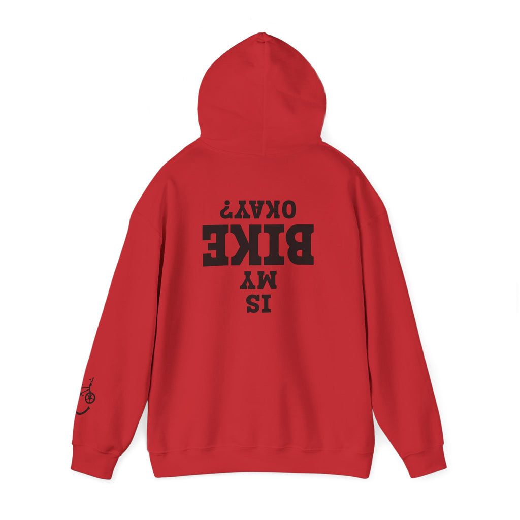 Rad-Biker American Flag Hoodie — 'Is My Bike Okay?' Graphic Hooded Sweatshirt