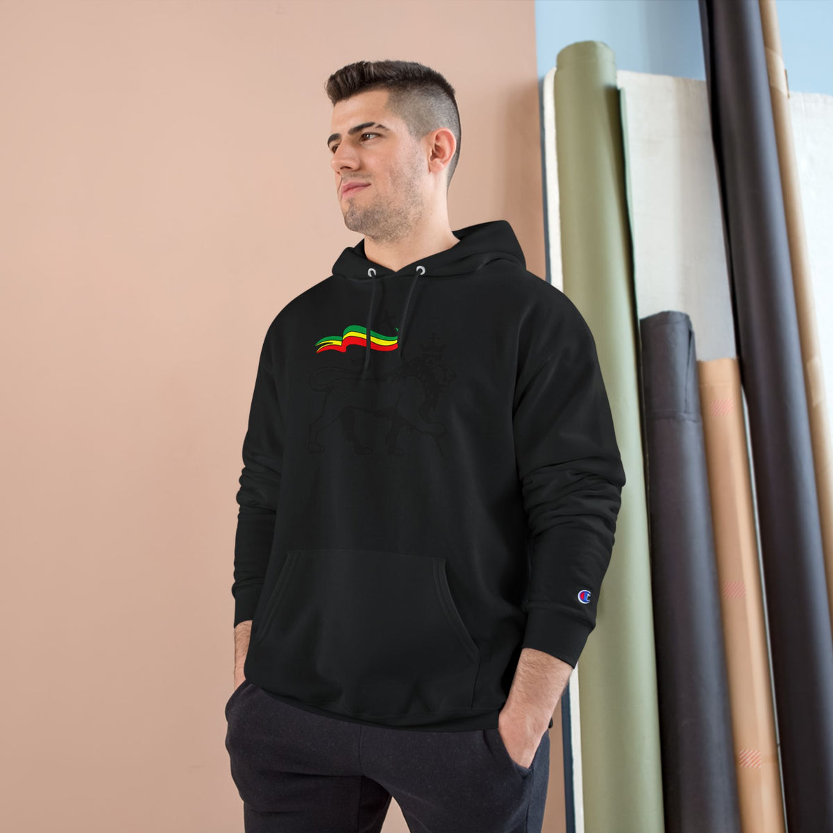 Variety-Rastafarian Lion Hoodie — Lion of Judah Design with Rasta Flag & YHWH Back Print