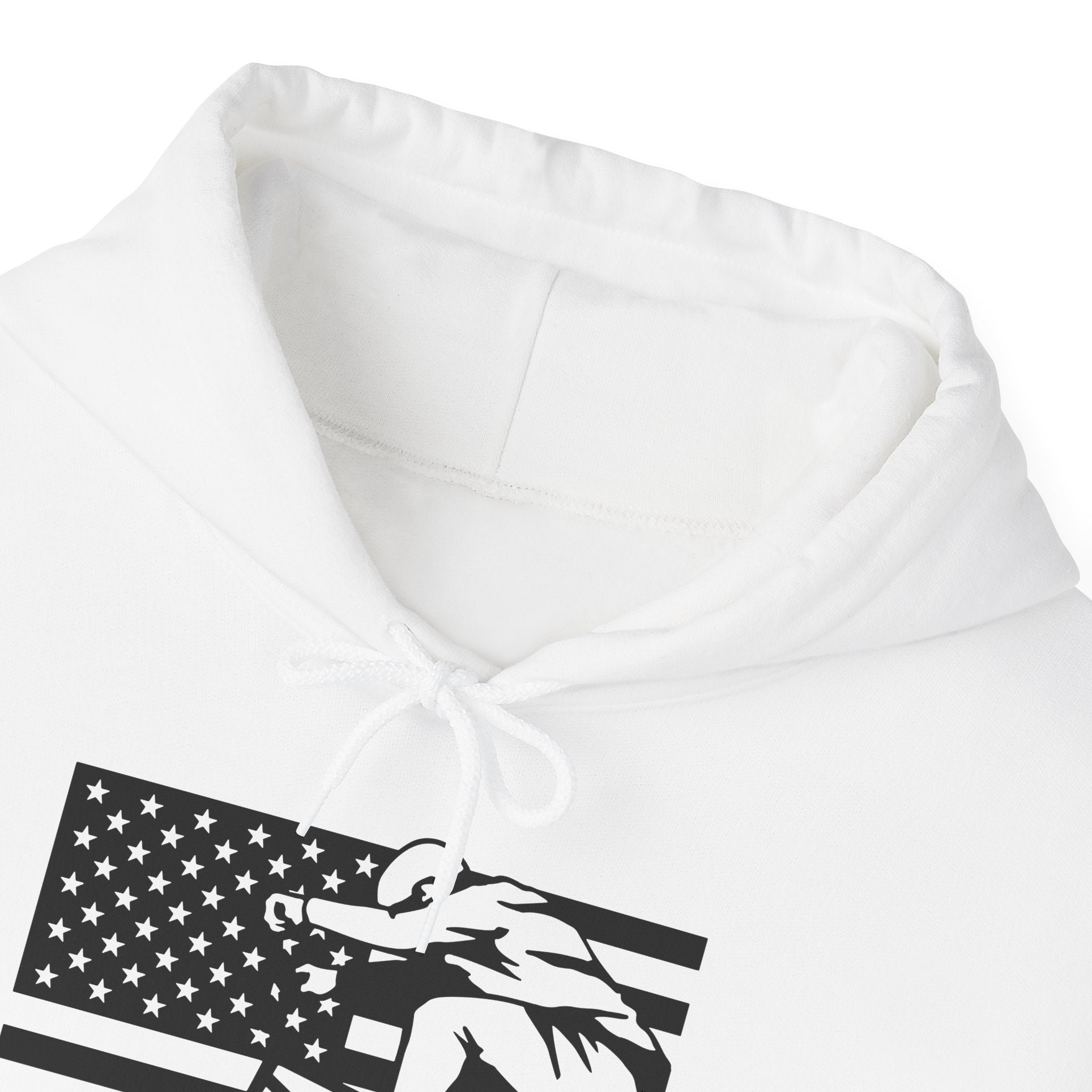 Rad-Biker American Flag Hoodie — 'Is My Bike Okay?' Graphic Hooded Sweatshirt