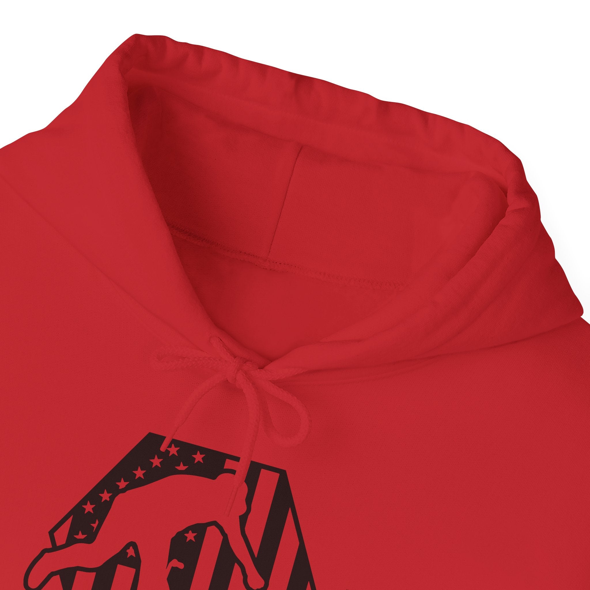 Rad-BMX Is Importanter Hoodie — Funny BMX Rider Sweatshirt