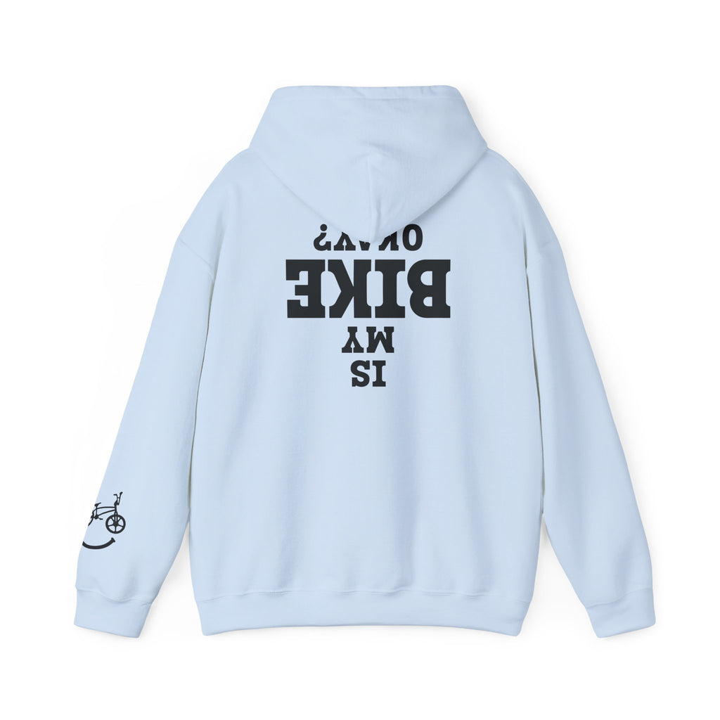 Rad-Biker American Flag Hoodie — 'Is My Bike Okay?' Graphic Hooded Sweatshirt