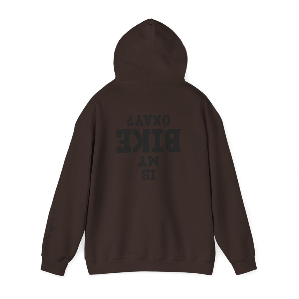 Rad-Biker American Flag Hoodie — 'Is My Bike Okay?' Graphic Hooded Sweatshirt