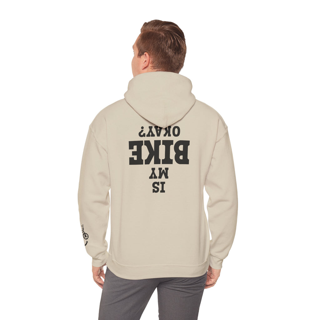 Rad-Biker American Flag Hoodie — 'Is My Bike Okay?' Graphic Hooded Sweatshirt