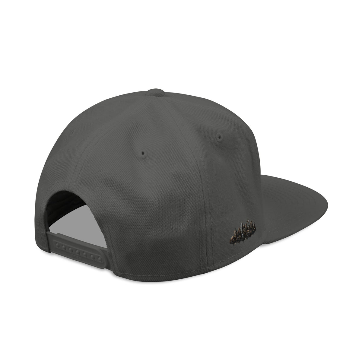 Hat-Embroidered 'Verité' Snapback Hat – Gold Sparkle Logo