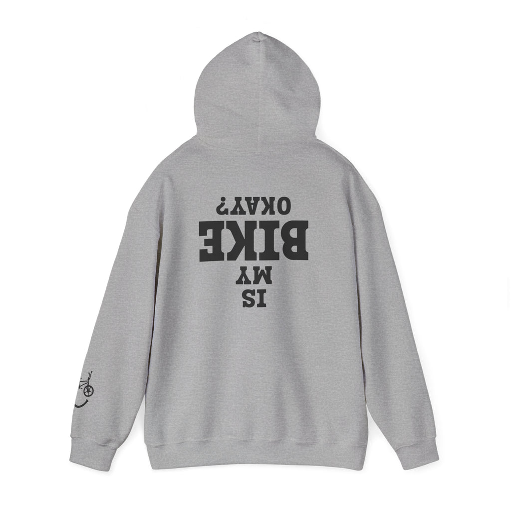 Rad-Biker American Flag Hoodie — 'Is My Bike Okay?' Graphic Hooded Sweatshirt