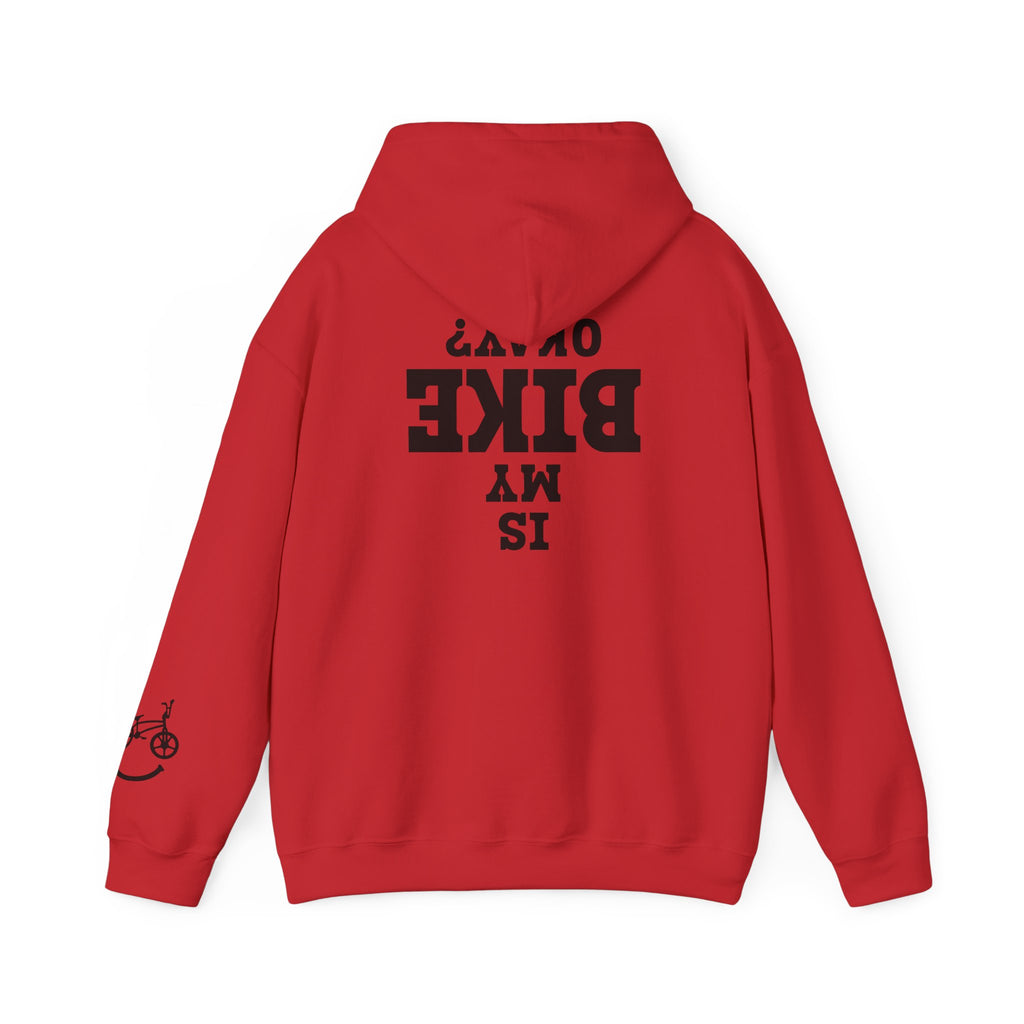 Rad-Biker American Flag Hoodie — 'Is My Bike Okay?' Graphic Hooded Sweatshirt