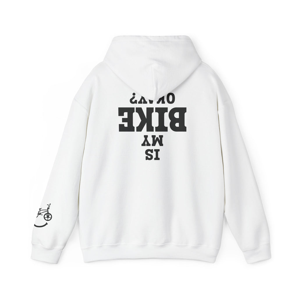 Rad-Biker American Flag Hoodie — 'Is My Bike Okay?' Graphic Hooded Sweatshirt