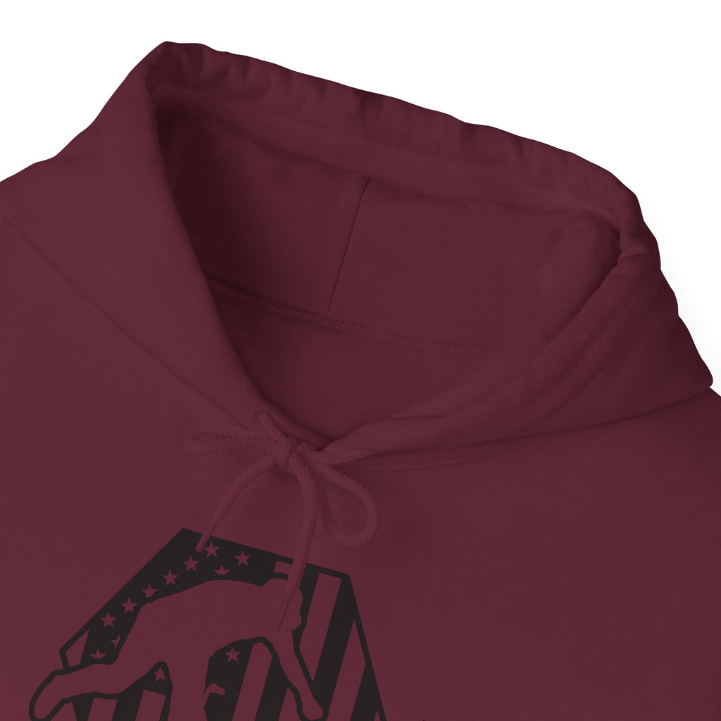 Rad-BMX Is Importanter Hoodie — Funny BMX Rider Sweatshirt
