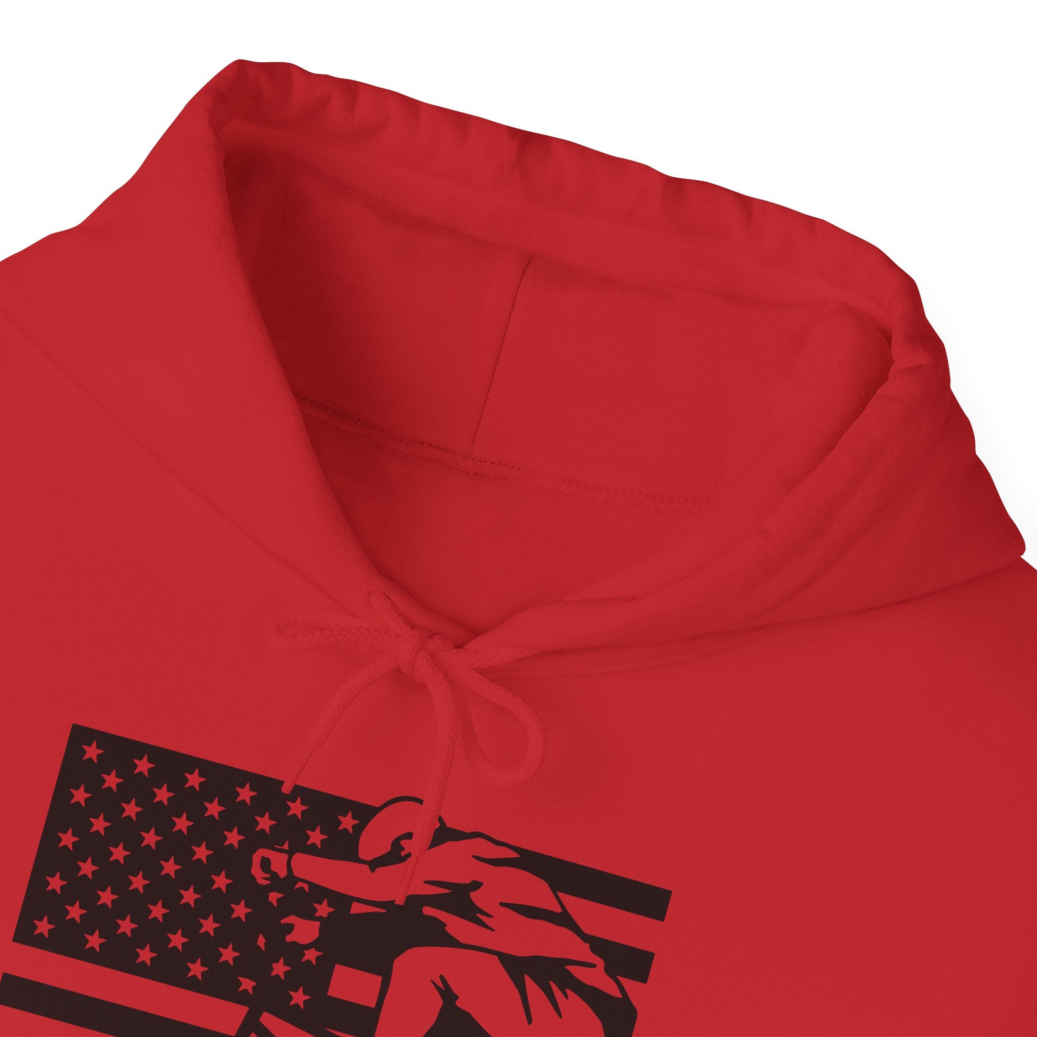 Rad-Biker American Flag Hoodie — 'Is My Bike Okay?' Graphic Hooded Sweatshirt