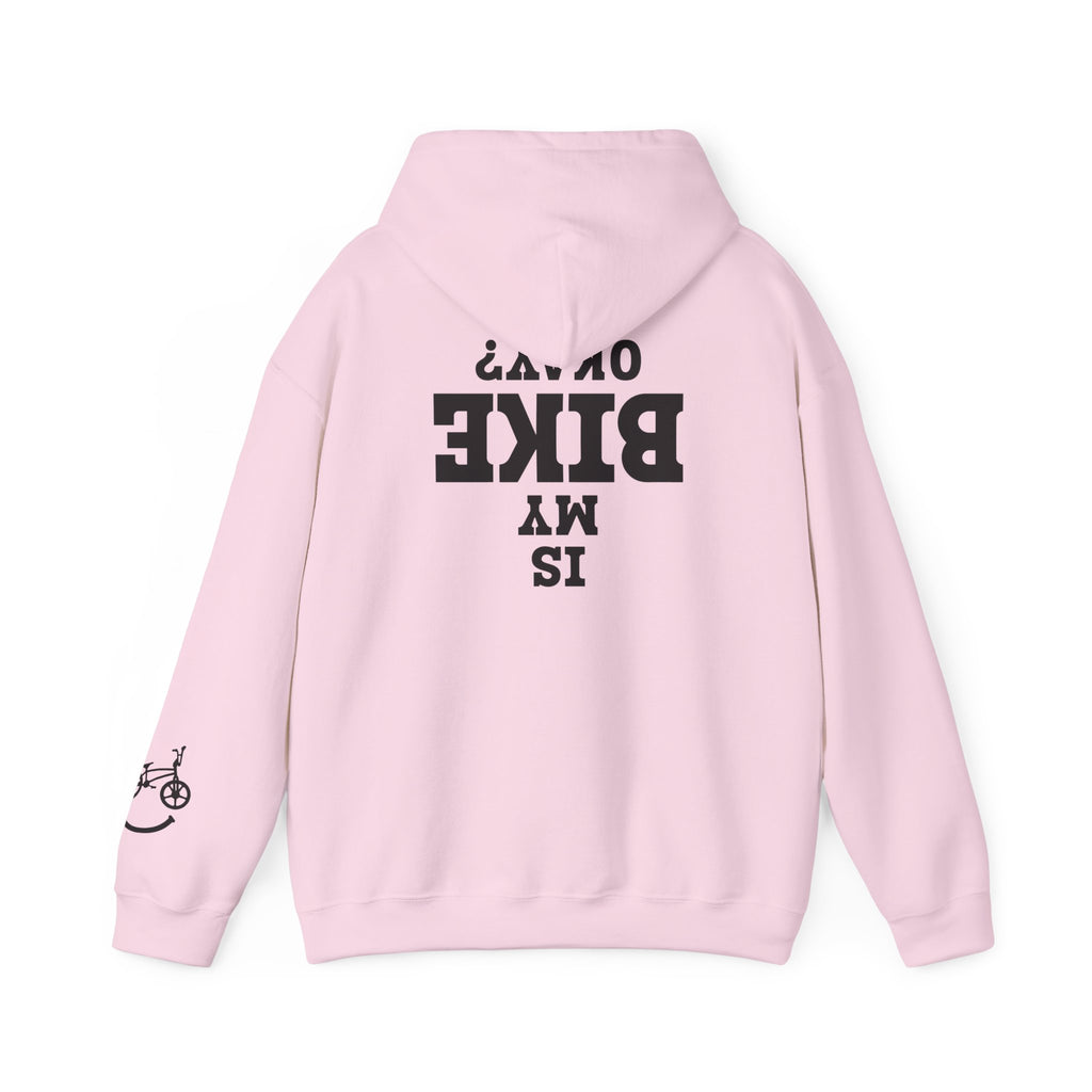 Rad-Biker American Flag Hoodie — 'Is My Bike Okay?' Graphic Hooded Sweatshirt