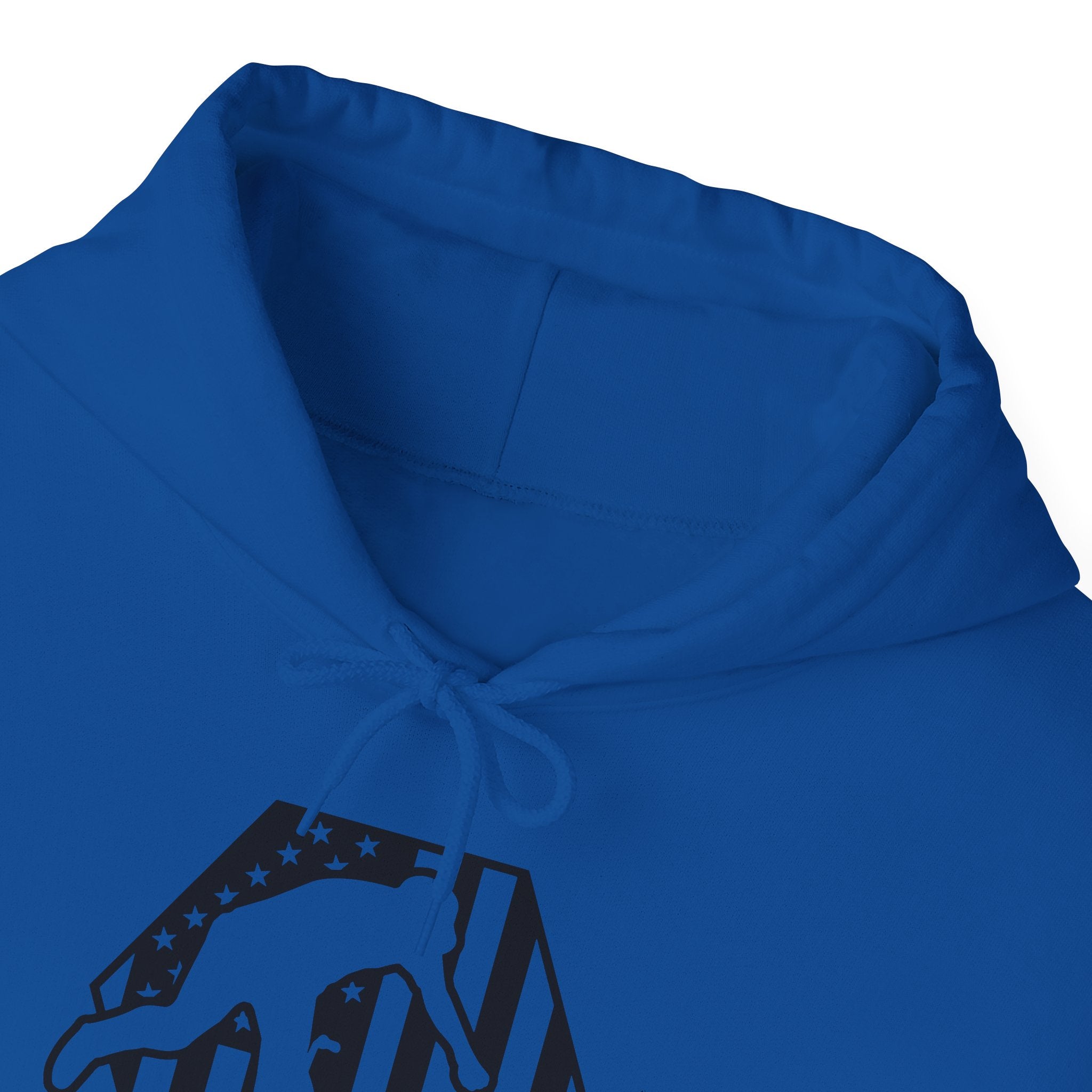 Rad-BMX Is Importanter Hoodie — Funny BMX Rider Sweatshirt