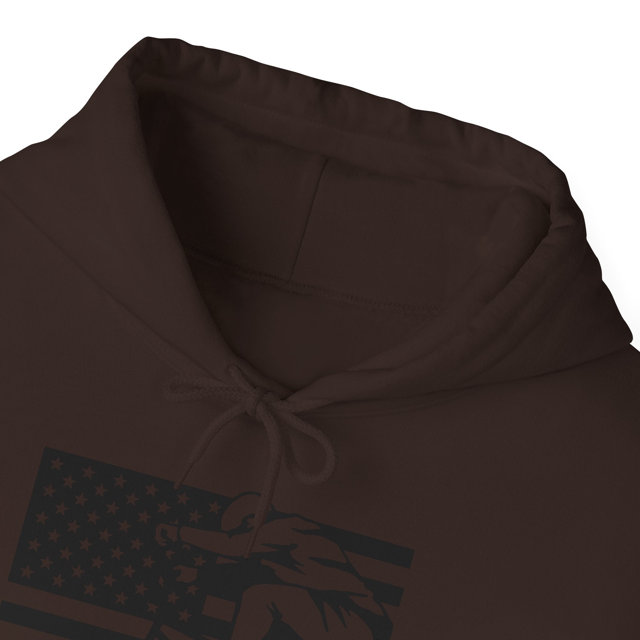 Rad-Biker American Flag Hoodie — 'Is My Bike Okay?' Graphic Hooded Sweatshirt