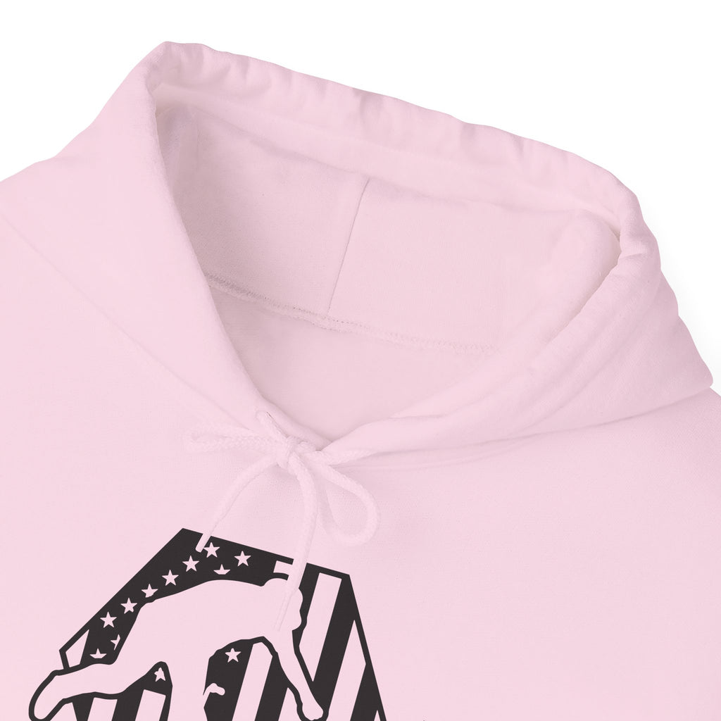 Rad-BMX Is Importanter Hoodie — Funny BMX Rider Sweatshirt