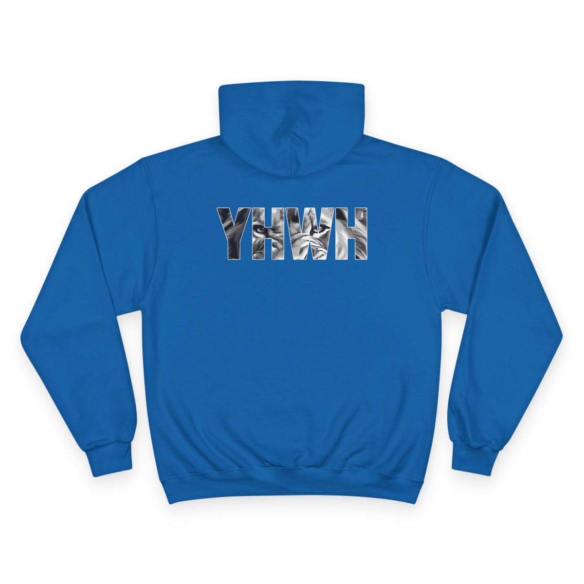 Variety-Rastafarian Lion Hoodie — Lion of Judah Design with Rasta Flag & YHWH Back Print