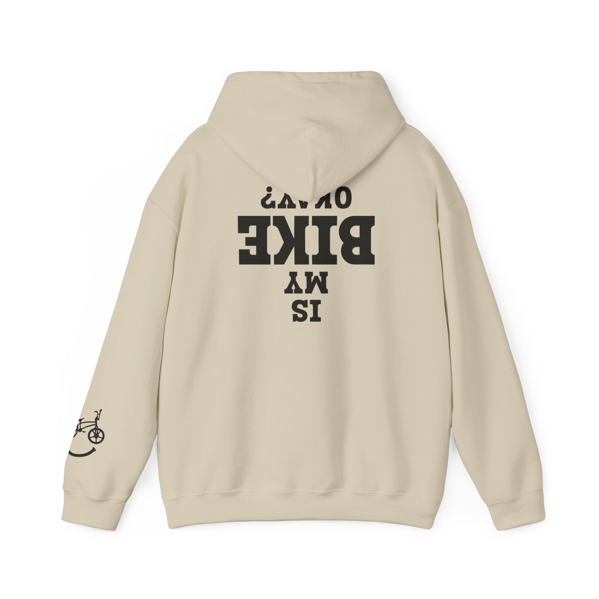 Rad-Biker American Flag Hoodie — 'Is My Bike Okay?' Graphic Hooded Sweatshirt
