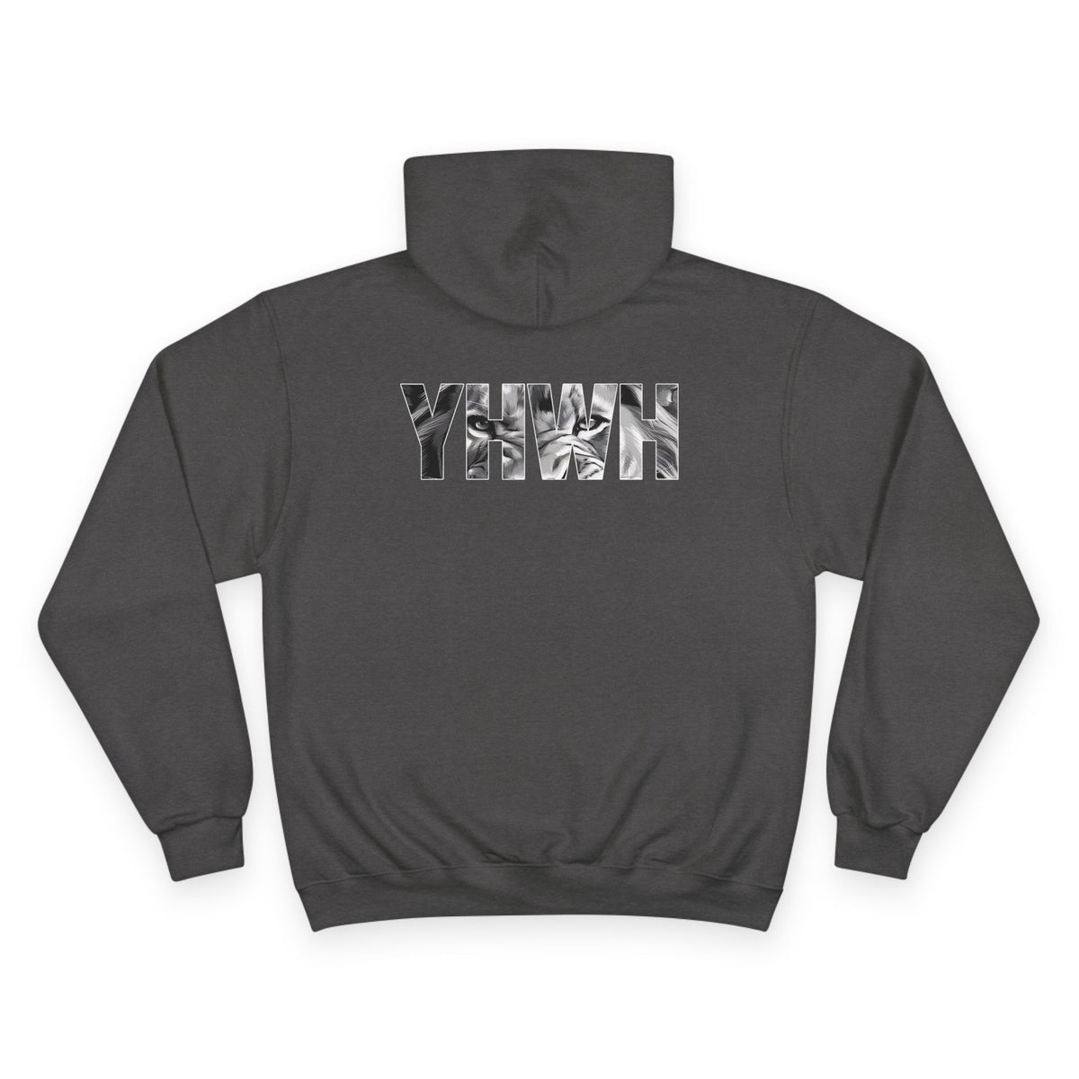Variety-Rastafarian Lion Hoodie — Lion of Judah Design with Rasta Flag & YHWH Back Print