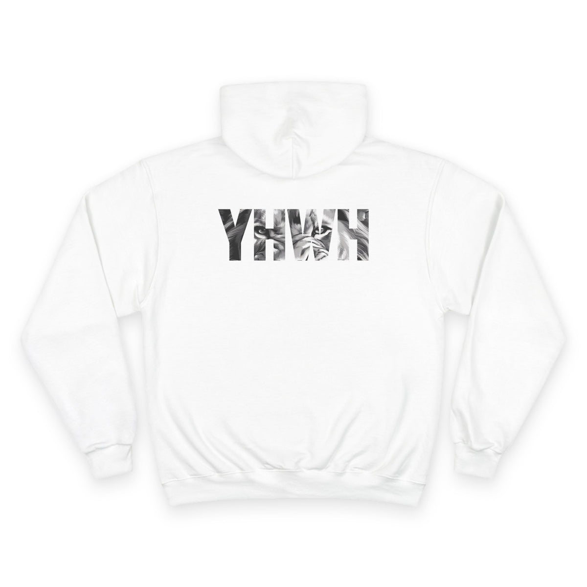 Variety-Rastafarian Lion Hoodie — Lion of Judah Design with Rasta Flag & YHWH Back Print
