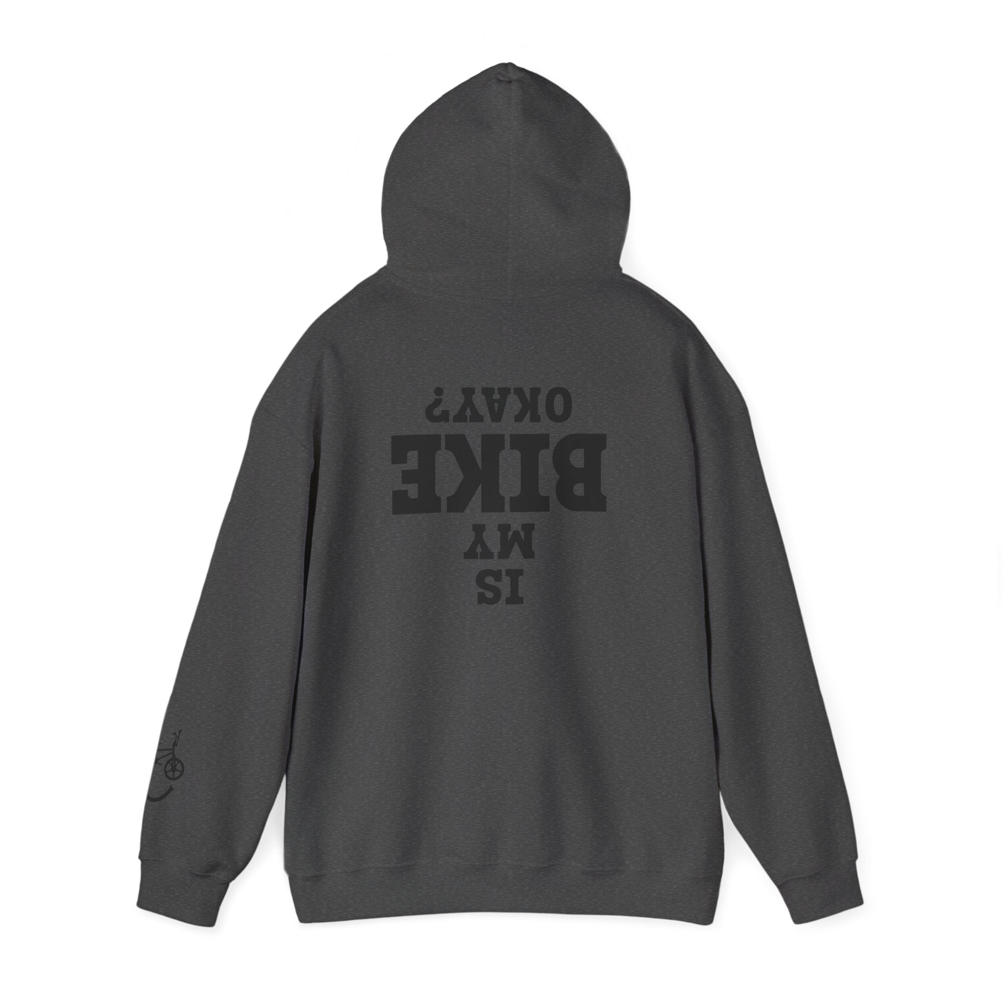 Rad-Biker American Flag Hoodie — 'Is My Bike Okay?' Graphic Hooded Sweatshirt