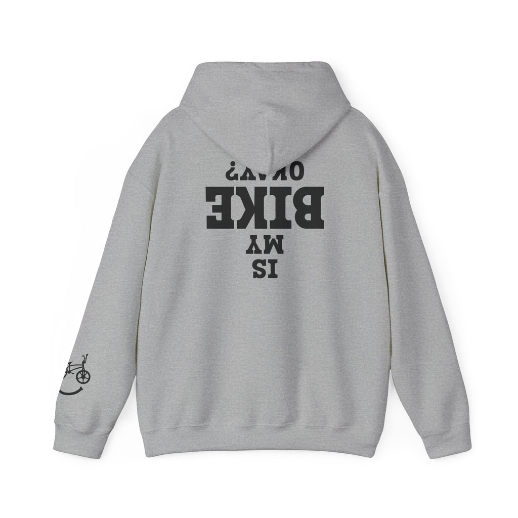 Rad-Biker American Flag Hoodie — 'Is My Bike Okay?' Graphic Hooded Sweatshirt