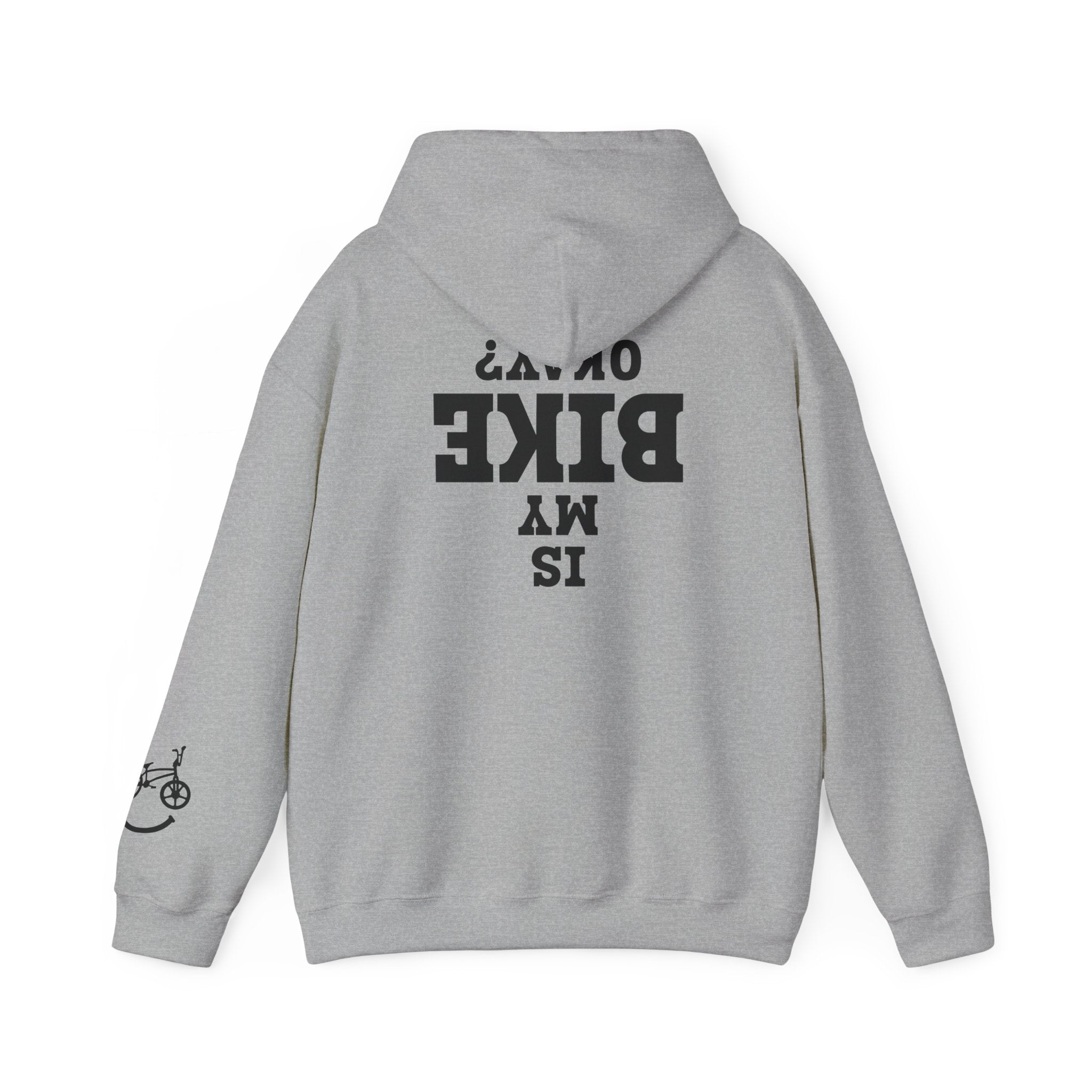 Rad-Biker American Flag Hoodie — 'Is My Bike Okay?' Graphic Hooded Sweatshirt