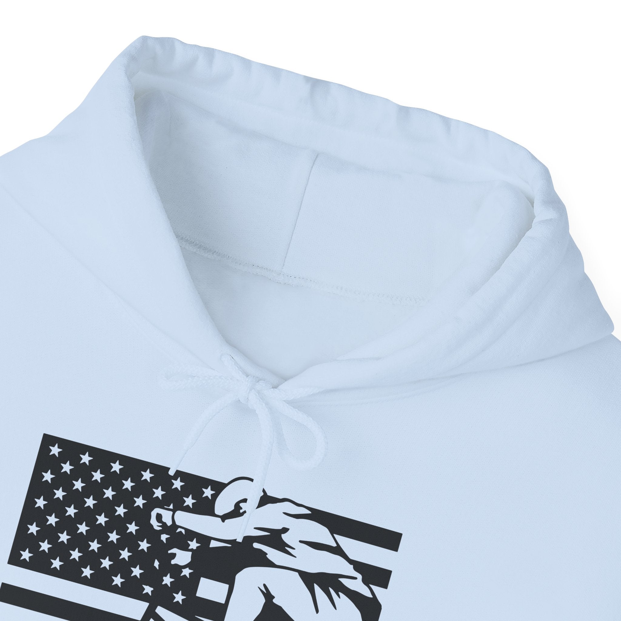 Rad-Biker American Flag Hoodie — 'Is My Bike Okay?' Graphic Hooded Sweatshirt