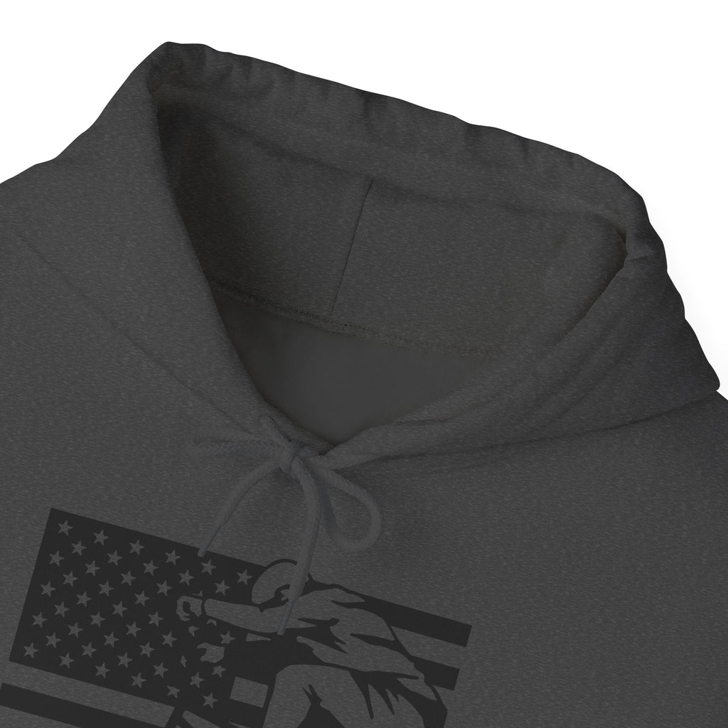 Rad-Biker American Flag Hoodie — 'Is My Bike Okay?' Graphic Hooded Sweatshirt