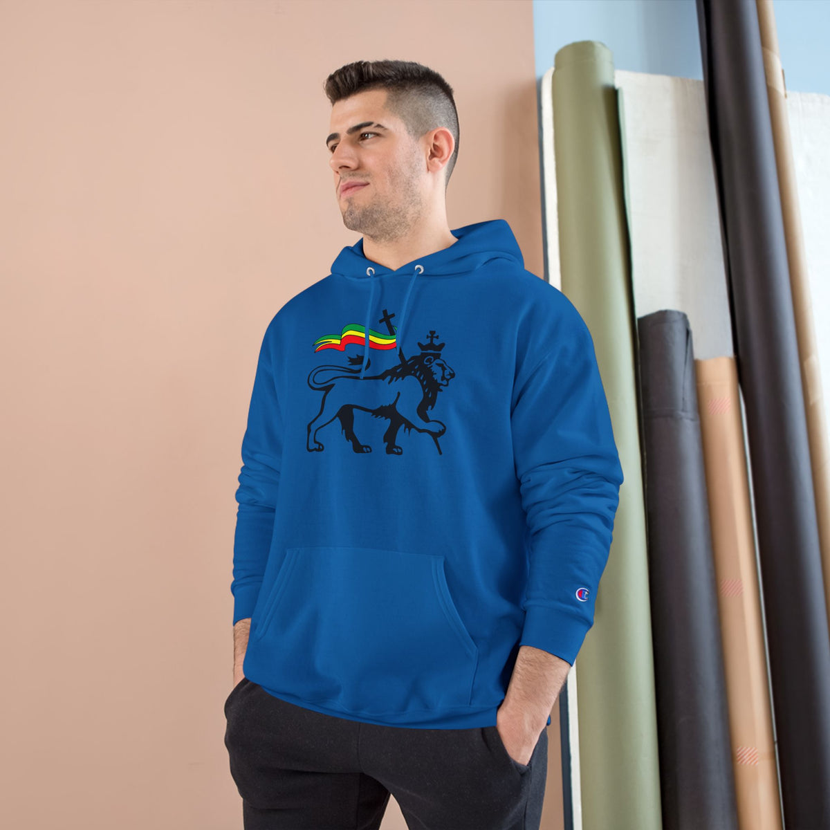 Variety-Rastafarian Lion Hoodie — Lion of Judah Design with Rasta Flag & YHWH Back Print