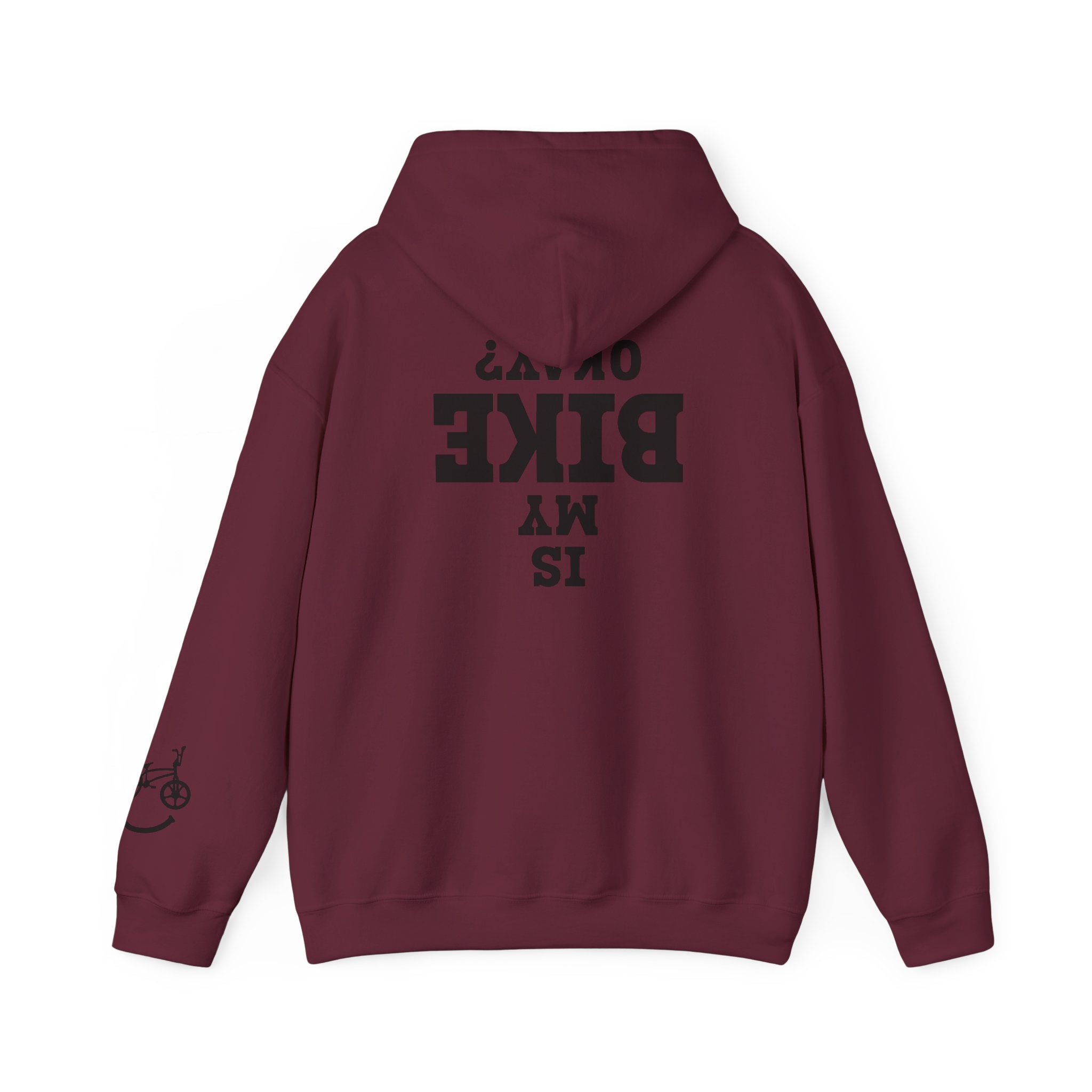 Rad-Biker American Flag Hoodie — 'Is My Bike Okay?' Graphic Hooded Sweatshirt