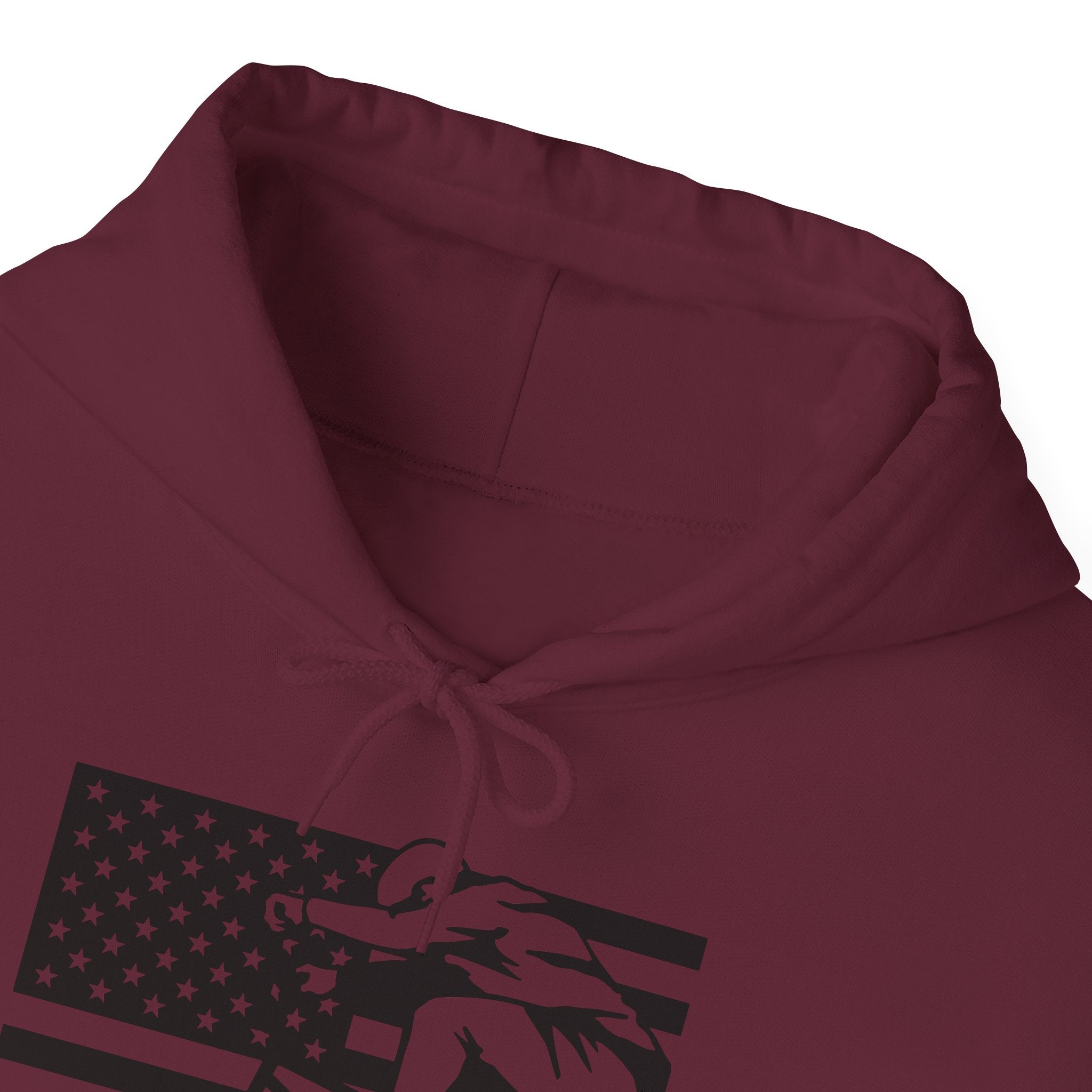 Rad-Biker American Flag Hoodie — 'Is My Bike Okay?' Graphic Hooded Sweatshirt