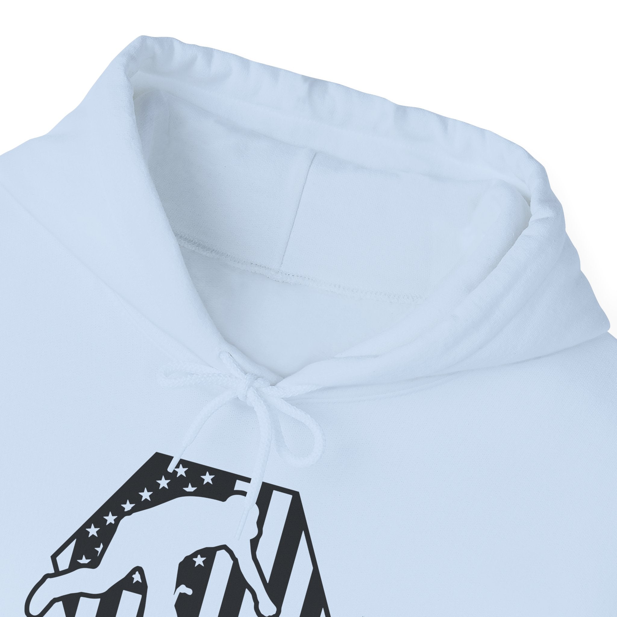Rad-BMX Is Importanter Hoodie — Funny BMX Rider Sweatshirt