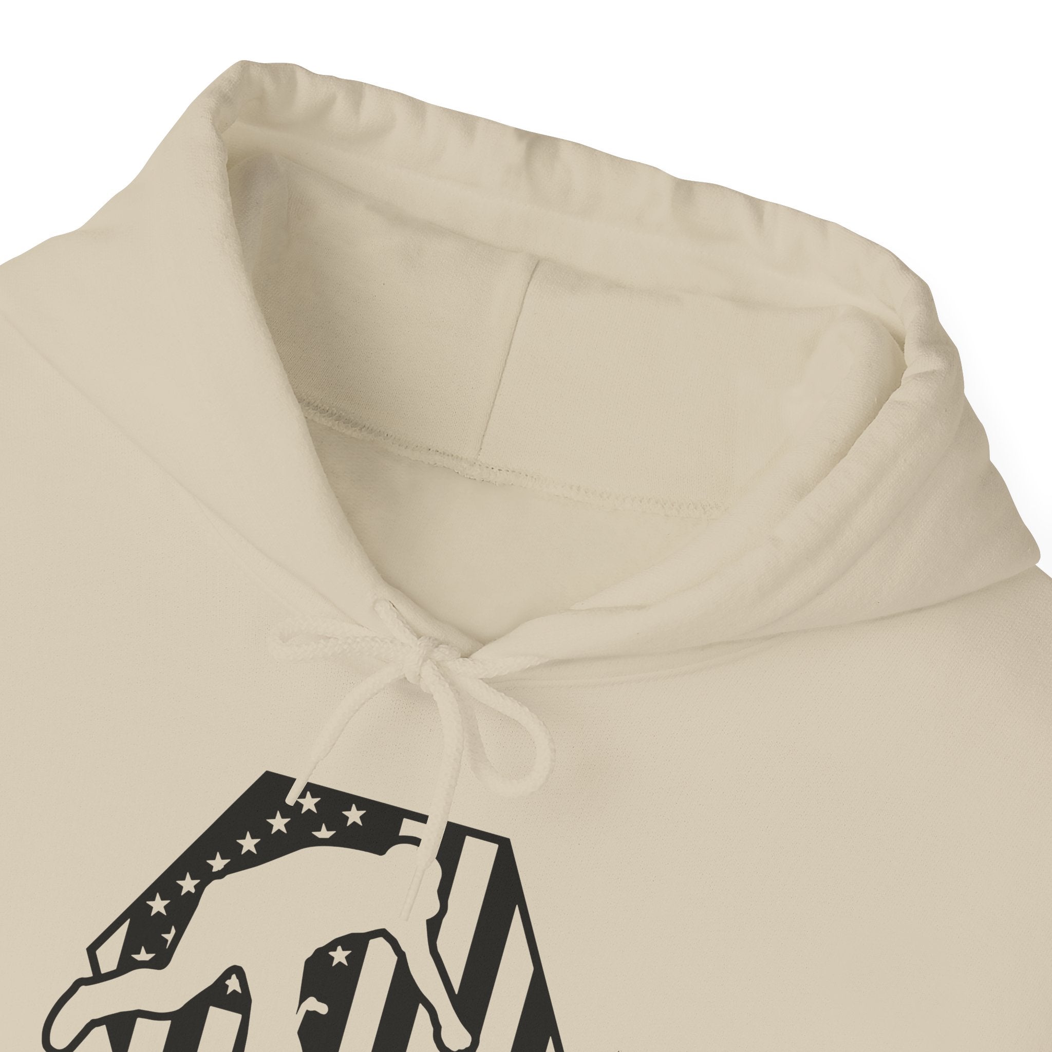 Rad-BMX Is Importanter Hoodie — Funny BMX Rider Sweatshirt